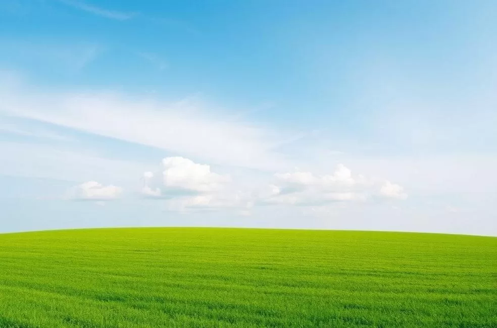 Core-Satellite: A Estratégia Equilibrada Para Investidores Iniciantes