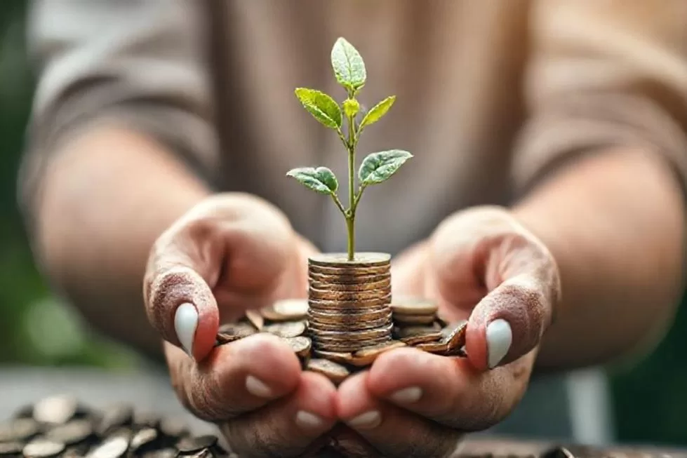 Payout Decifrado: Como Dividendos Influenciam Seus Investimentos