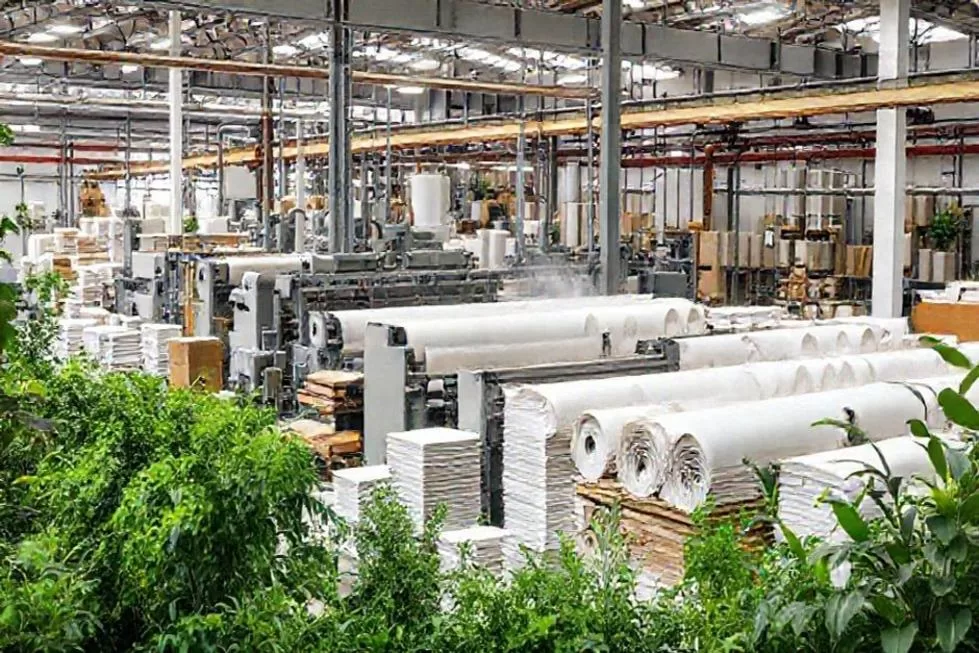 Entendendo o Mercado de Papel e Celulose