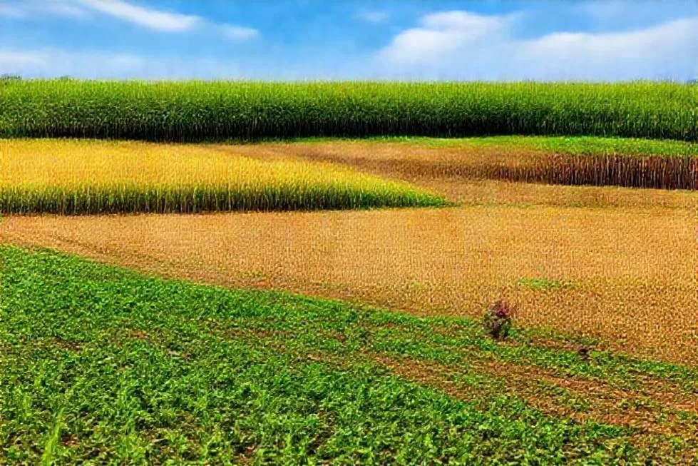 Por Que Investir no Agronegócio é uma Boa Opção